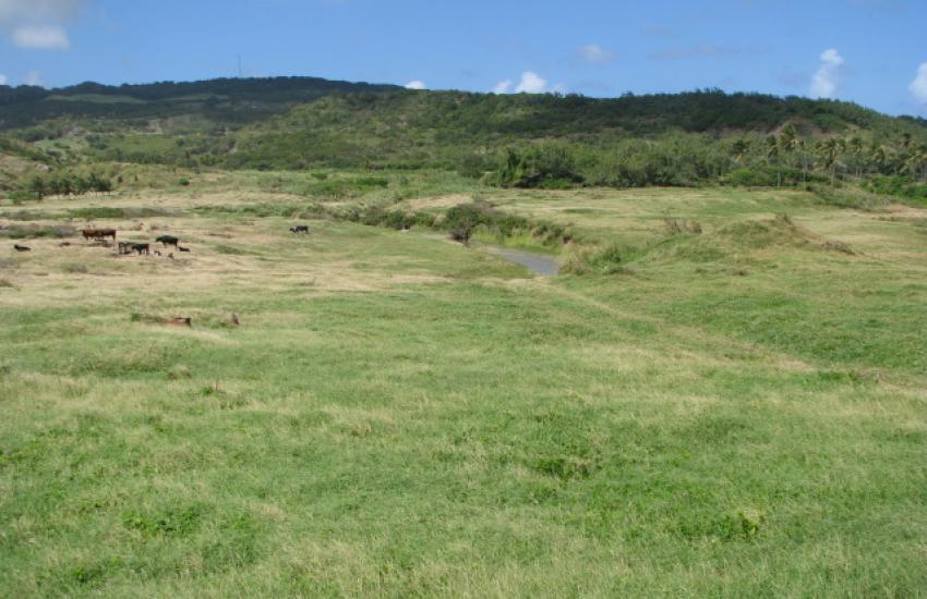 Walkers Savannah. St. Andrew Barbados H.V.REALTY SERVICE